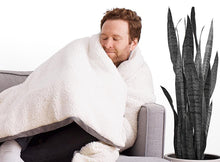 Load image into Gallery viewer, Weighted Blanket